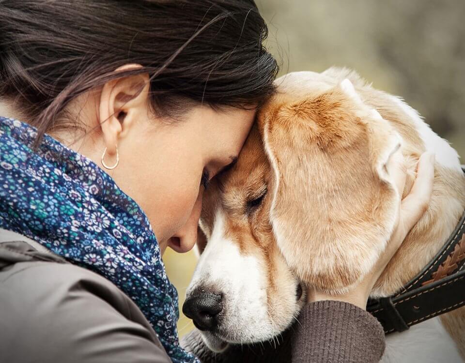 pet therapy treat mental illness