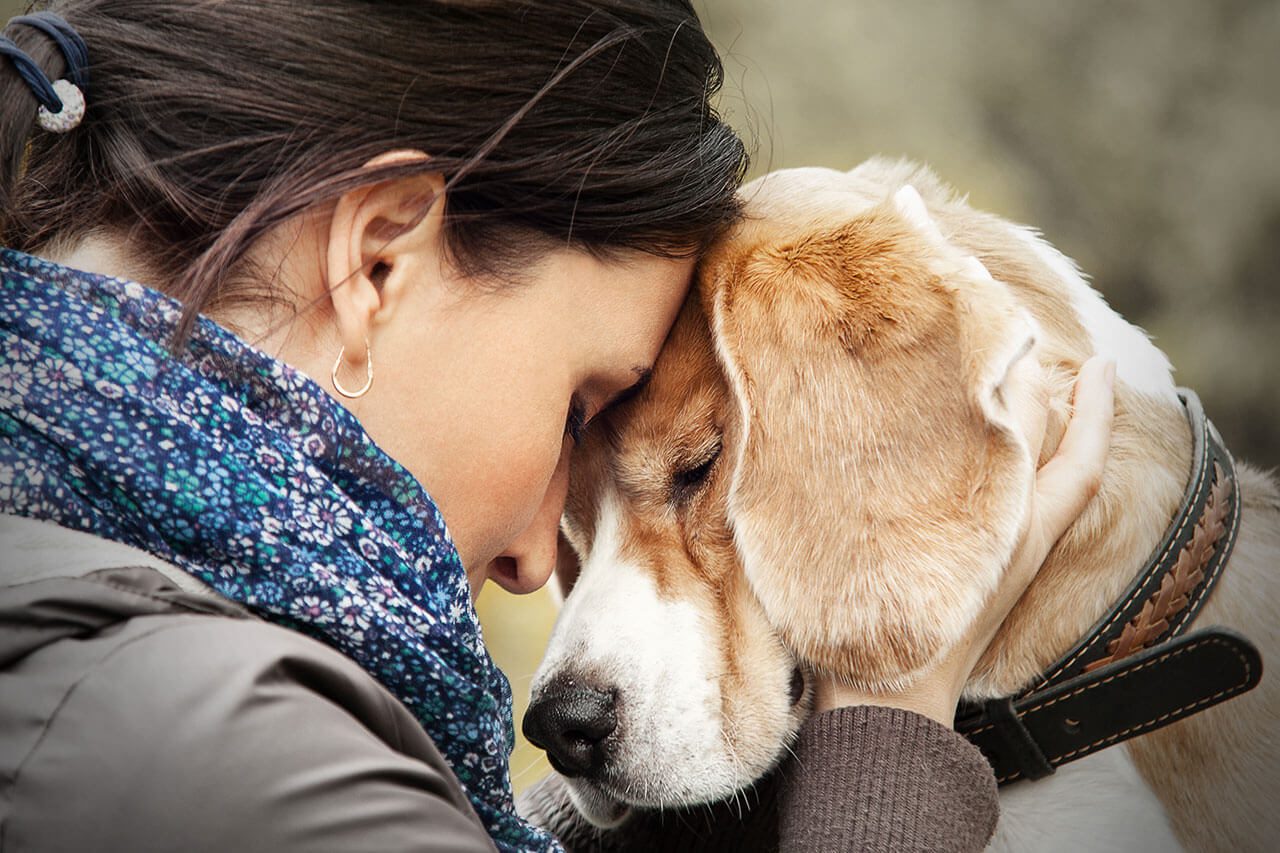 pet therapy treat mental illness