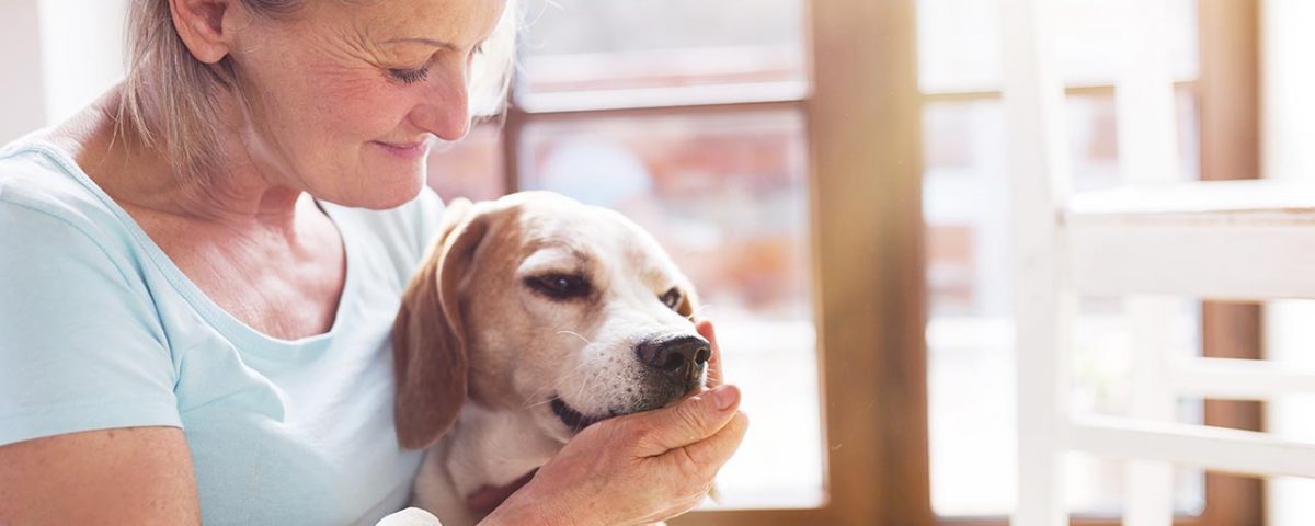 Using Pet Therapy for Depression